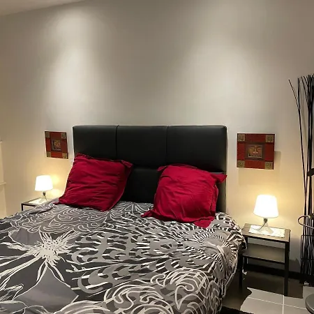 Villa Luxueuse Tarbes